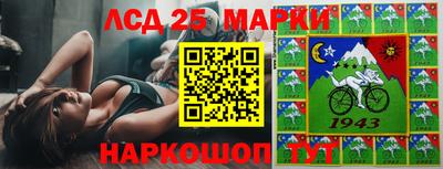 Альфа ПВП Заволжье