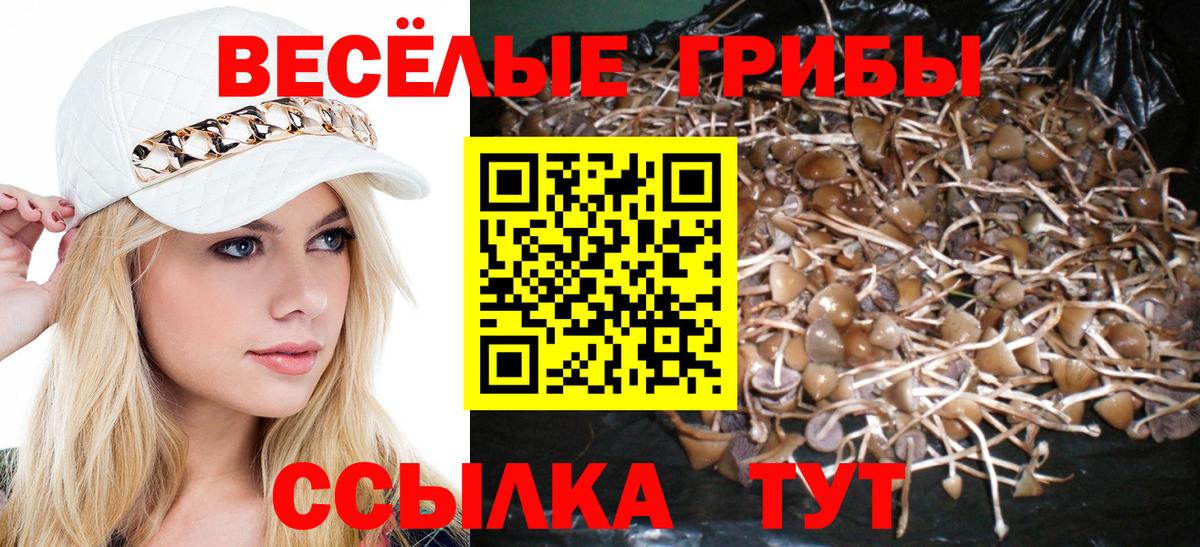 Галлюциногенные грибы мицелий Лыткарино