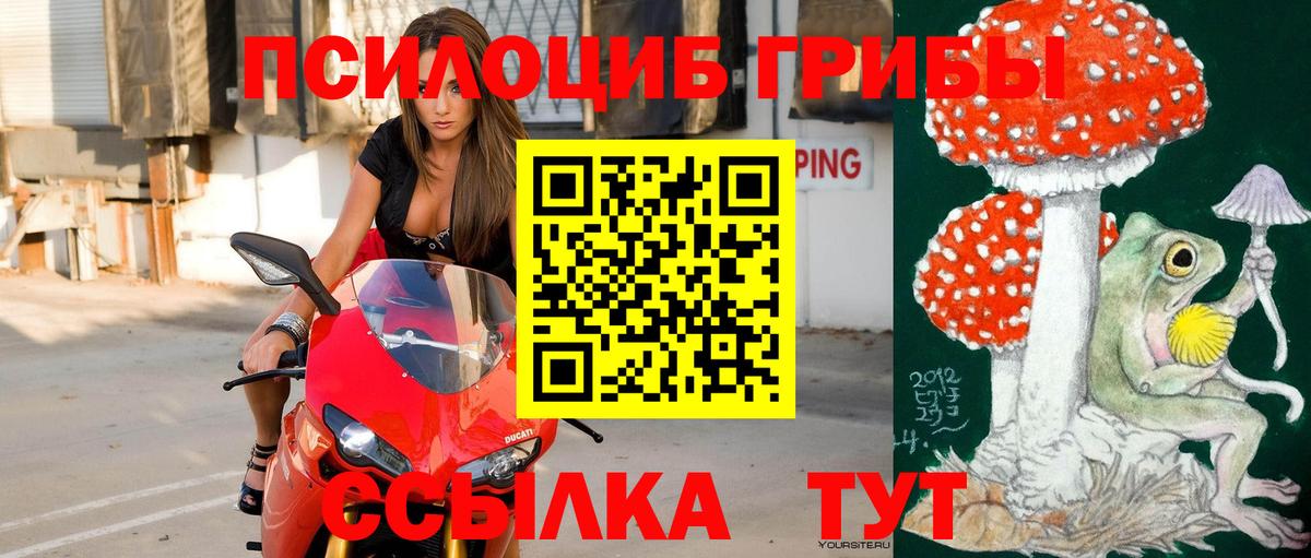 Лыткарино  Галлюциногенные грибы мухоморы  Псилоцибиновые грибы Psilocybe  Вход с VPN 